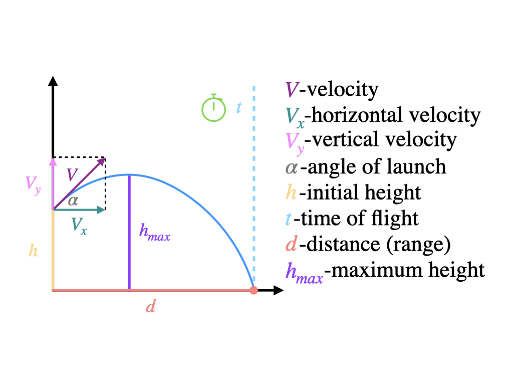 Projectile motion diagram